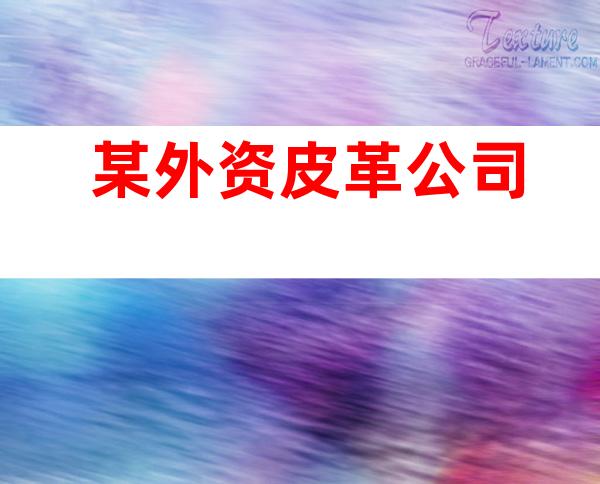 某外资皮革公司